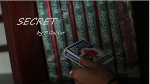 D.Galdot - Secret (D.Galdot original video, Full HD quality)
