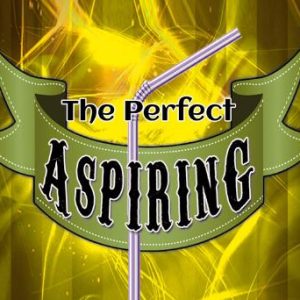 Daniel Raley - The Perfect Aspiring