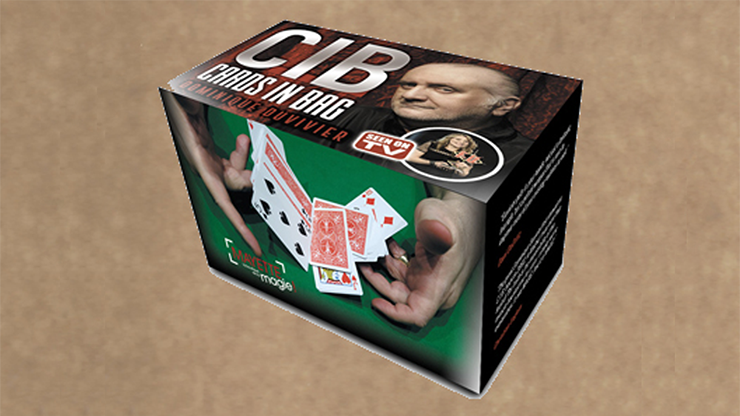 Dominique Duvivier - CIB: Cards In Bag