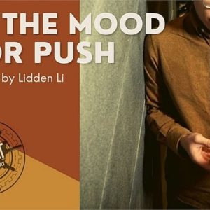 Lidden Li - In The Mood for Push