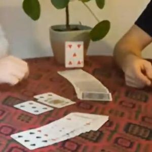 Ollie Mealing - Bull Force