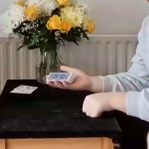 Ollie Mealing - Phantom