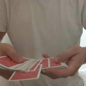 Ollie Mealing - Special Blend Control