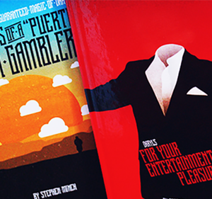 Stephen Minch - For Your Entertainment Pleasure