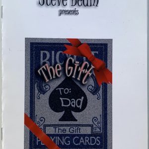 Steve Beam - The Gift