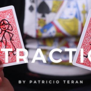 Patricio Teran - Attraction